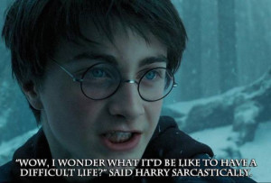 harry-potter-and-the-times-he-was-sassy-as-hell-512994