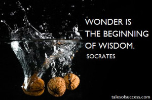 ... only true wisdom is in knowing you know nothing. – Socrates, Wisdom