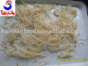 Canned Bean Sprouts