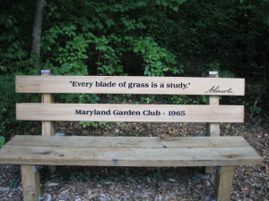 Quotes on benches by charmed2482