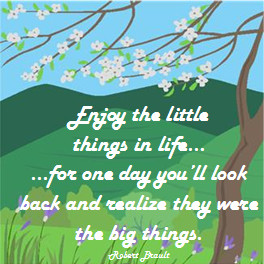 Enjoy the little things quote
