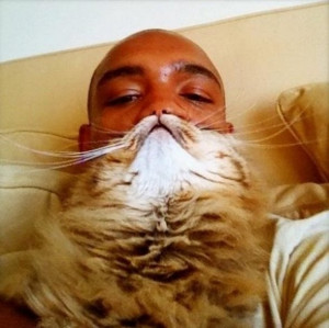 Can We Please All Take Cat Bearding Pictures Now?