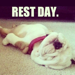 Rest day