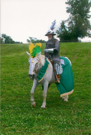 Petrushka, ( Amish bred Percheron mare ) now retired as a 