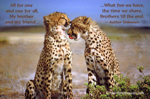 Sayings, Quotes: Author Unknown