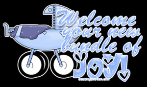 Welcome Bundle Of Joy Boy Picture