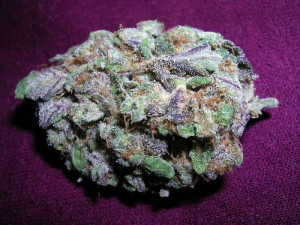 Me and Diabolic similar to haze and diesel