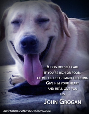 Dog Love Quotes that Celebrate