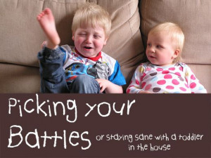 Pick your battles - staying sane with a toddler in the house Toddlers ...