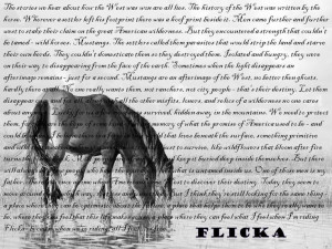 Flicka, best horse movie ever!!!!! You just said it Katy ...