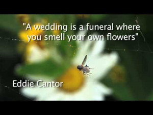 funny wedding quote youtube 0 16 more quotes on www quotevideo com a ...