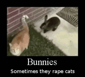 Motivational poster: Bunnies - Reversed