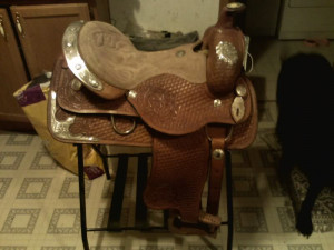 Discuss are buffalo saddles worth it? at the Tack & Equipment forum ...