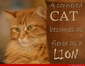 lion and lioness love quotes