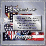 Support Our Troops & Military Preview Image 3