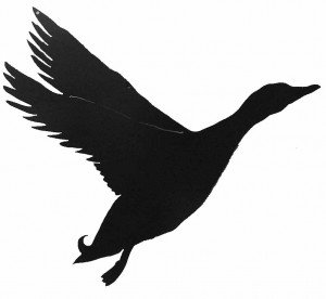 Flying Duck Silhouette