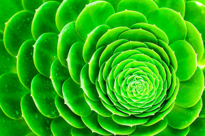 2008 Brian Auer . All Rights Reserved ( see policies ). Contact for ...