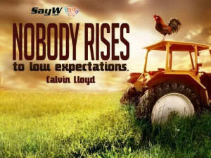 Nobody rises to low expectations. - Calvin Lloyd