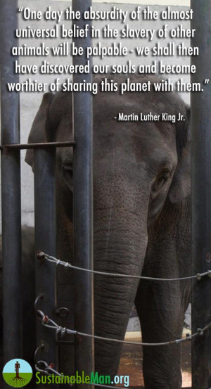 universal belief in the slavery of other animals will be palpable ...