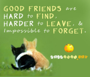 Good And Hard Friends friendship quotes