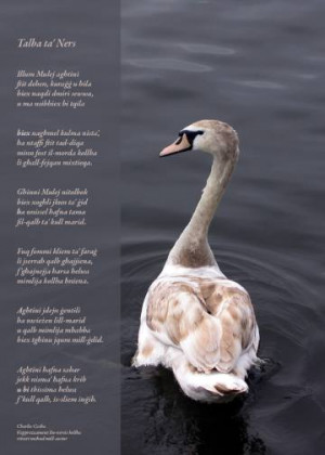 Nurseâ€™s Prayer