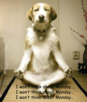 hate to think about Mondays too…in the meantime, i shall practice ...