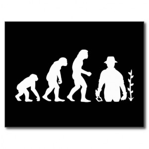 Darwin Evolution Chart Funny Shirt