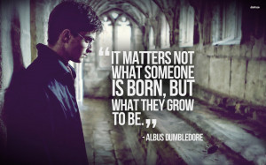 Movies Quote Harry Potter Daniel Radcliffe