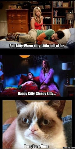 LOL – Grumpy cat vs. Big bang theory