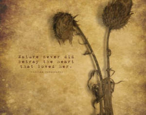 Betrayal Nature quote Fine Art Prin t 12x12 ZNE fPOE poe team ...