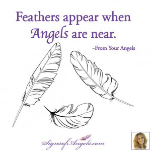 Angel Feather Quotes Picfly