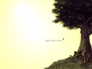 screensavers · game of life · avatars