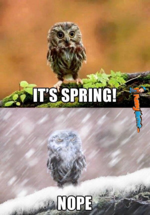 Funny memes – It’s spring.. Nope.