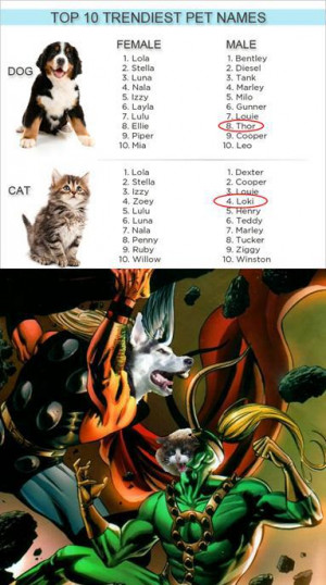 ... Pictures avengers vs x men funny quotes funny facts funny pictures