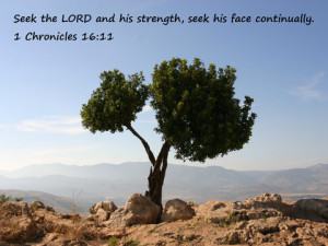 ... Bible Verses about Strength Bible Quotes on Strength Strength Bible