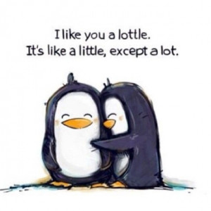 ... cute little picture and quote of two penguins who love each other
