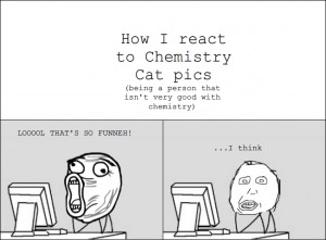 chemistry jokes cat source http paulabrown net chemistryjokescat