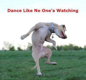 Pinned by Sharon Kerwin