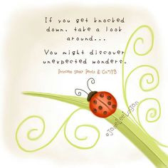 ladybug surround. Ladybug Poems, Poems Prints, Lady'S Bugs, Ladybugs ...