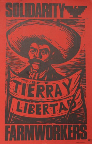 Solidarity Farmworkers, Tierra y Libertad,