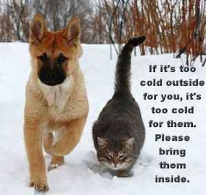 dogs quotes cat friends funny dogs pics theme songs funny animal funny ...