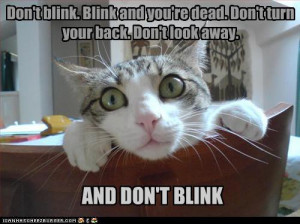 Don't blink or the weeping angels will get you !!