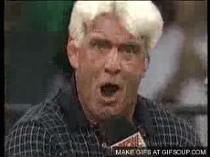 Re: PW Wrestlemania IX - RT Vs. Foos [The Promo Thread]