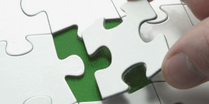 Putting The Pieces Together Development and support