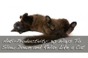 Anti-Productivity: 30 Ways To Slow Down and Relax Like a Cat