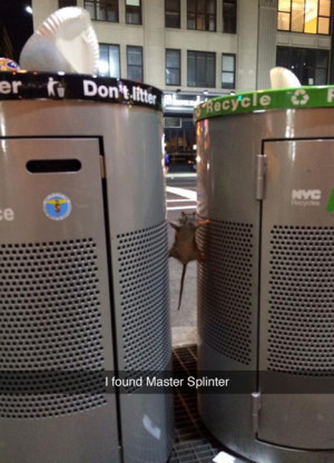master-splinter-1.jpg