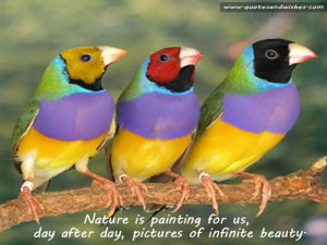 naturepicquote1 Nature is painting for us, day after day, pictures of ...