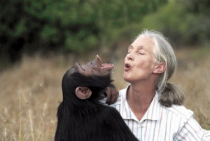 Jane Goodall 80 today Jane Goodall/Facebook
