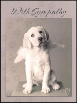 Dog Loss Condolence Card