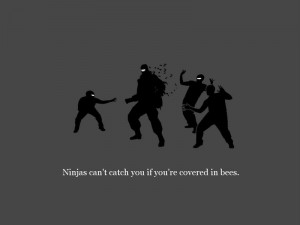 Ninjas Can't Catch You... by iriscorven